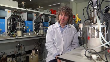 Leveduras e egenharia genética para fabricar biomateriais