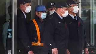 Japanese lawyer apologises for Carlos Ghosn's costume fiasco