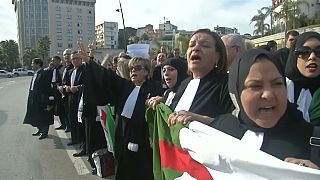 Las 'togas negras' contra la candidatura de Abdelaziz Bouteflika