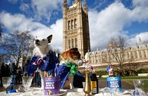 "Брексит": накануне решающей недели