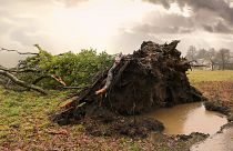 Zugverkehr in Nordrhein-Westfalen wegen "Eberhard" eingestellt