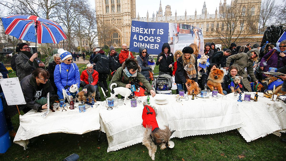 Διαδήλωση σκύλων κατά του Brexit - Ζητούν δεύτερο δημοψήφισμα
