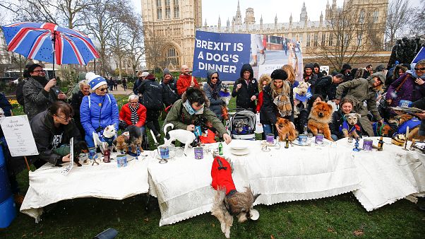 Διαδήλωση σκύλων κατά του Brexit - Ζητούν δεύτερο δημοψήφισμα Διαδήλωση σκύλων κατά του Brexit - Ζητούν δεύτερο δημοψήφισμα