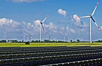 Avrupa Birliği'nde 'İklim Bankası' tartışılıyor: Çevreci harcamalara faizsiz kredi verilmeli mi?