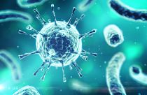 Dünya Sağlık Örgütü: Yeni bir küresel grip salgınına hazırlıklı olmalıyız