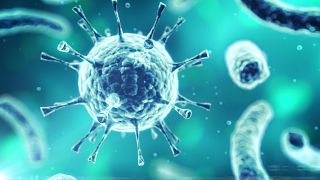 Dünya Sağlık Örgütü: Yeni bir küresel grip salgınına hazırlıklı olmalıyız