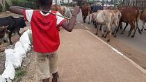 Mesut Özil'den formasını giyen Kenyalı çocuğa özel hediye
