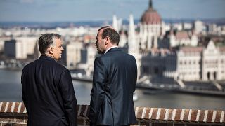 Orbán kész bocsánatot kérni a "hasznos idiótázásért"