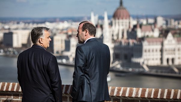 Orbán kész bocsánatot kérni a "hasznos idiótázásért" Orbán kész bocsánatot kérni a "hasznos idiótázásért"