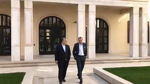 PPE aguarda resposta de Orbán PPE aguarda resposta de Orbán