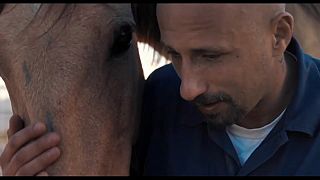 The Mustang: jön Redford új lovas filmje