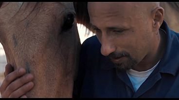 "The Mustang": redenção a galope