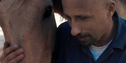 Tras Sundance, 'The Mustang' llega a las salas de EE.UU. Tras Sundance, 'The Mustang' llega a las salas de EE.UU.