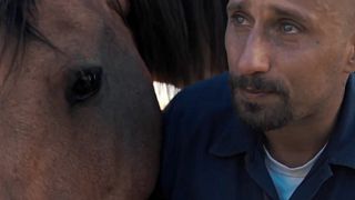 „Mustang“ - das wilde Pferd als Therapeut