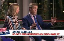 MEPs react to possible extension of Brexit deadline | Raw Politics