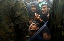 عکس تزئینی است