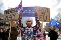 What could happen next in the Brexit saga now MPs voted to extend Article 50?