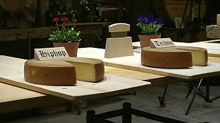 Schweizer Experiment: Ändert Musik den Geschmack von Käse?