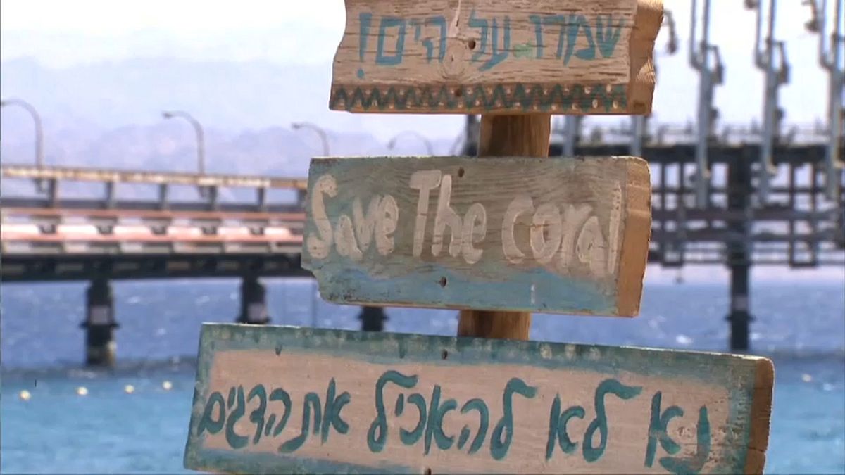 گلچین ویدئوهای هفته؛ از سواحل اسرائیل تا المپیک توکیو 