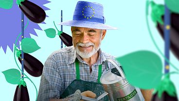¿Cómo apoya la UE a sus Estados miembros para realizar reformas estructurales? ¿Cómo apoya la UE a sus Estados miembros para realizar reformas estructurales?