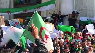 Algerien: Proteste immer größer