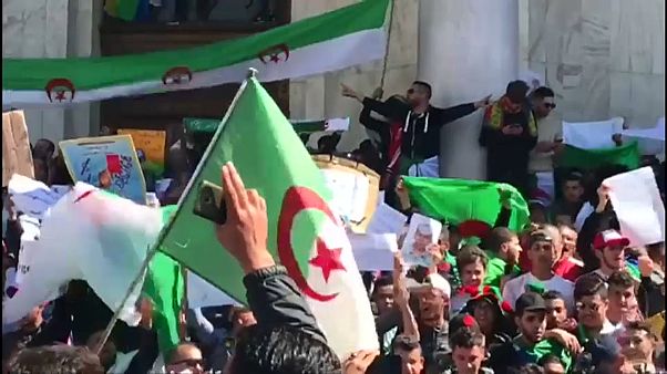 Algerien: Proteste immer größer Algerien: Proteste immer größer