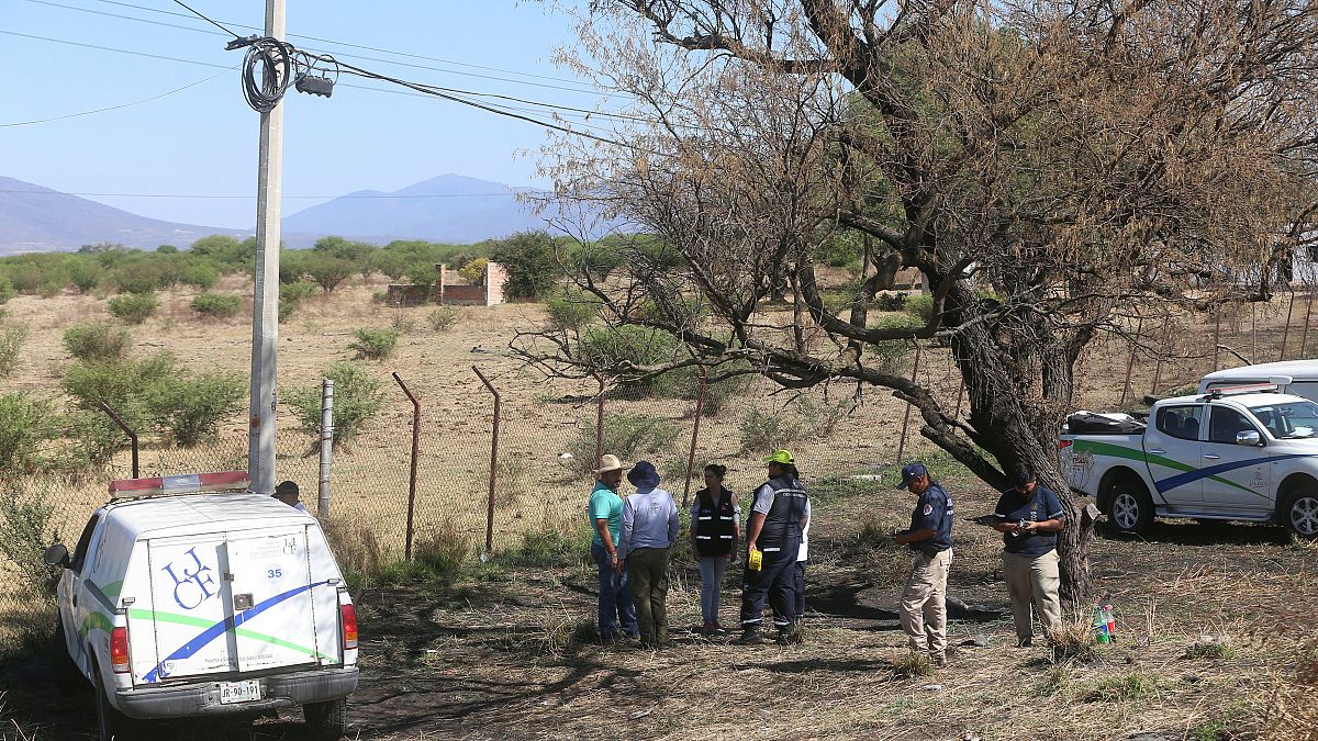 Meksika'da ceset kalıntılarıyla dolu 19 torba bulundu