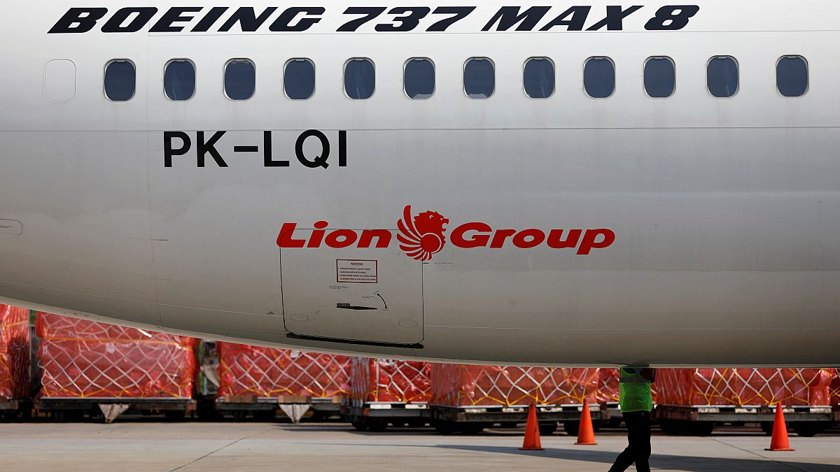 طائرة من طراز بوينغ 737 تابعة لشركة ليون إير