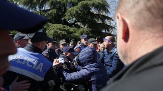 Albanian riot police clash with protesters calling for early elections