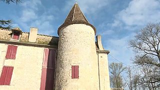 Die Burgen der Dordogne