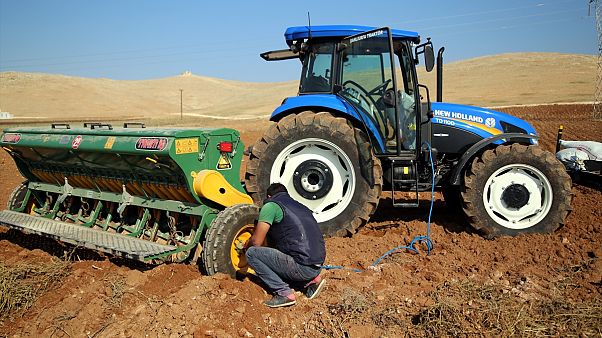 Türkiye’de gıda enflasyonunun perde arkası: Gübre ve mazot fiyatları son iki yılda yüzde 51 arttı Türkiye’de gıda enflasyonunun perde arkası: Gübre ve mazot fiyatları son iki yılda yüzde 51 arttı