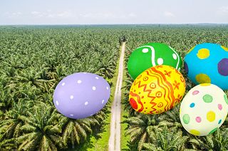 Most chocolate easter eggs contain palm oil