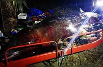 Filipinas: Biólogos hallan "la mayor cantidad de plástico que hemos visto en una ballena"