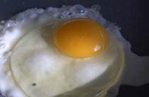 Яйца опасны для здоровья