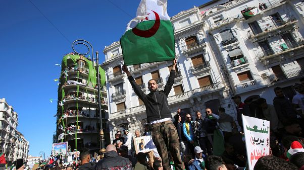 متظاهر يحمل العلم الوطني الجزائري في احتجاجات ضد الرئيس متظاهر يحمل العلم الوطني الجزائري في احتجاجات ضد الرئيس