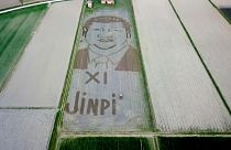 Xi Jinping "labrado" en Italia