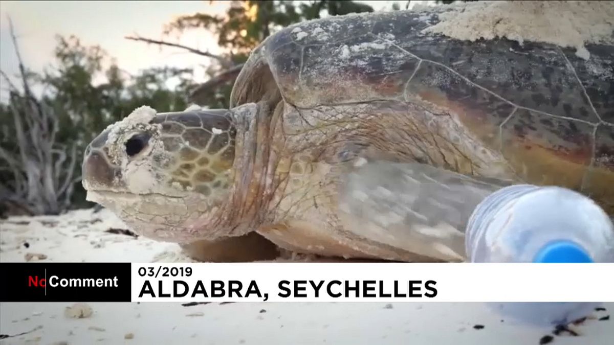 Desperdicios y galápagos en Seychelles