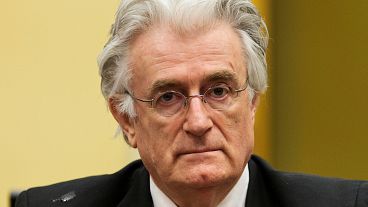 Bosnian war: Former leader Karadzic faces second genocide conviction