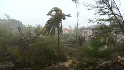 Mosambik ruft nach Tropensturm "Idai" den Notstand aus