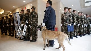 Çin masrafı kısmak için 'Sherlock Holmes' polis köpeklerini klonluyor