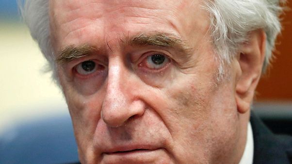 Procès en appel de Radovan Karadzic, ex-chef des Serbes de Bosnie. Procès en appel de Radovan Karadzic, ex-chef des Serbes de Bosnie.