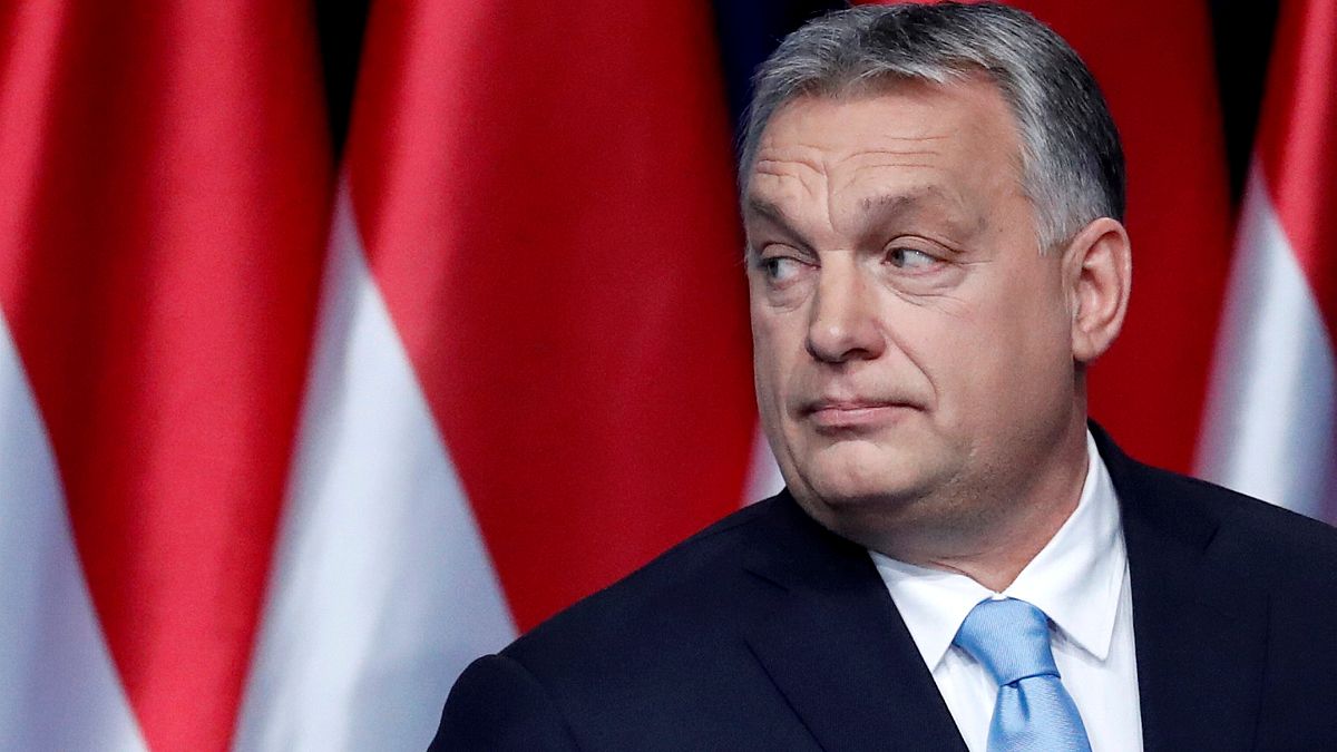 Raw Politics in full: Brexit delay and Fidesz party vote 