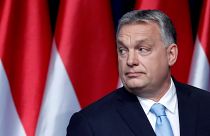 Raw Politics in full: Brexit delay and Fidesz party vote