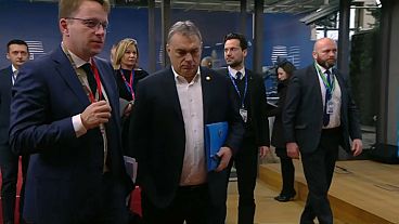 El Partido Popular Europeo suspende al Fidesz de Viktor Orbán El Partido Popular Europeo suspende al Fidesz de Viktor Orbán