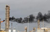 شركة بتروكيماويات في الاسكندرية