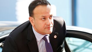 Ireland may have to hold referendum to decide on UK participation in Euro elections: Varadkar
