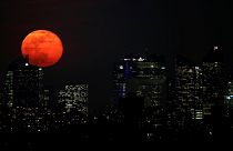 Video: Süper Ay şöleninden Dünya'ya yansıyanlar