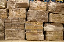 В Одессе изъяли рекордную партию кокаина