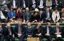 'Give all dogs guns': the UK petitions that didn't make it before MPs