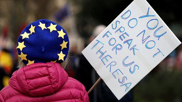 Anti-Brexit protesters demonstrate outside the Houses of Parliament Anti-Brexit protesters demonstrate outside the Houses of Parliament